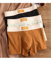 Cotton Jacquard High Quality Mid-waist Boy Boxer Men's Underwear