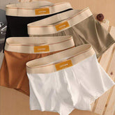 Modern Underwear for Men Popular Trendy Men's Boxer Modern Underwear for Boy