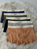 95% CottonAntibacterial Teenager Underwear Boy Boxer Shorts Men's Underwear