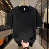 Men's Slim Fit Short Sleeve Tee Premium Bubble Fabric Texture Thin Crew Neck Casual Top for Summer
