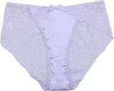 Romantic Sheer Floral Lace Hipster Brief