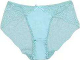 Romantic Sheer Floral Lace Hipster Brief