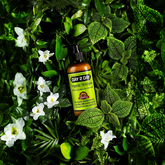 DAY 2 DAY Organic Shampoo