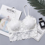 Bra Female No Steel Ring Beautiful Back Girl Camisole With Pad No Trace Large Size Comfortable Gathering Sleep Underwear Set - Zeprah