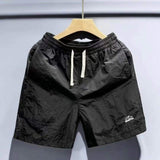 Summer Solid Shorts 2025 Men's Fashion Quick-drying Loose Casual Sports Pants