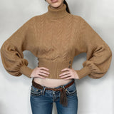 Elegant Casual Breathable Solid Color Crocheted Short Cropped Turtleneck Pullover for Women Autumn - Zeprah
