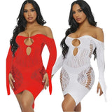 extreme Sexy Lingerie With Long Sleeves Transparent Bodystocking Lingerie - Zeprah