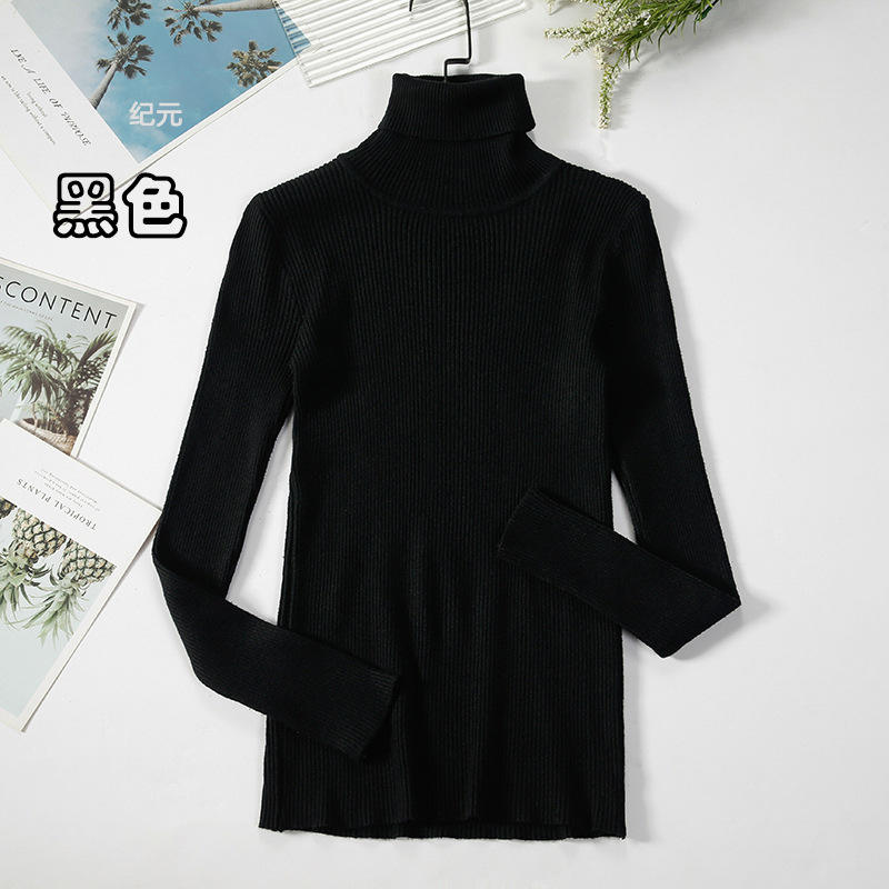Warm Knitted Turtleneck Pullover, Korean Style Solid Color - Women’s Slim - Fit Winter Sweater - Zeprah