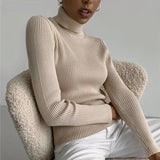Warm Knitted Turtleneck Pullover, Korean Style Solid Color - Women’s Slim - Fit Winter Sweater - Zeprah
