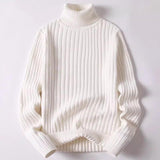 Men Turtleneck Vertical Rib Knit Sweater Solid Slim Fit Long Sleeve Thermal Base Layer Casual Inner Pullover