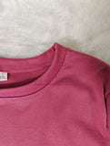 2025 Autumn Winter Women's Light Fleece Round Neck Long Sleeve T-Shirt Base Layer Pullover Fashionable Inner Wear