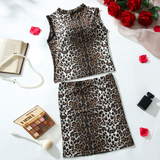 Sexy Sheer Leopard Bodycon Skirt Set