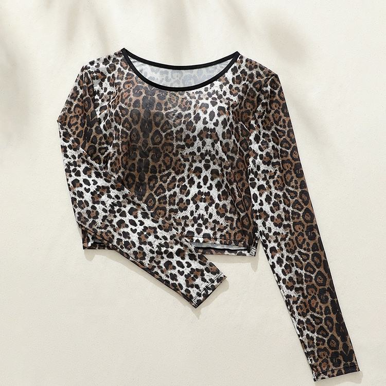 Leopard Print Sheer Long-Sleeve Crop Top