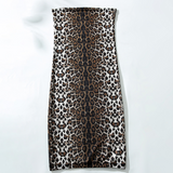 See-Through Leopard Mesh Skirt