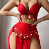 European American New Style Sexy Women Latin Dance 3D Embroidery Breathable 2 Piece Chiffon Lingerie - Zeprah