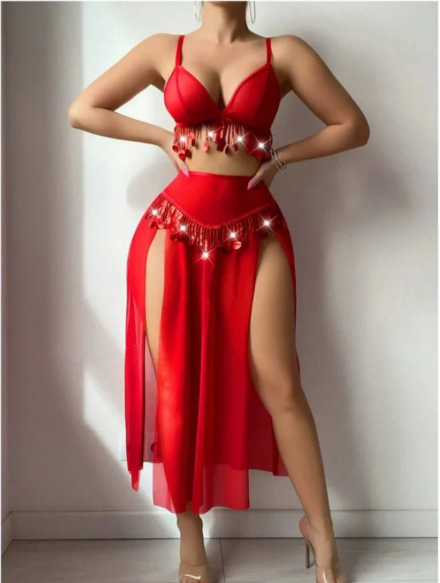 European American New Style Sexy Women Latin Dance 3D Embroidery Breathable 2 Piece Chiffon Lingerie - Zeprah