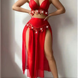 European American New Style Sexy Women Latin Dance 3D Embroidery Breathable 2 Piece Chiffon Lingerie - Zeprah