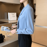 Long Sleeve Blouse with Pussy - Bow Detail – Professional Style - Zeprah